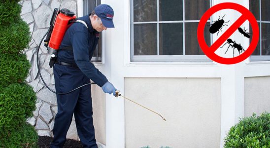 Sarıyer Karınca İlaçlama böcek ilaçlama ve haşere kontrolü — ilaclama-tr.com